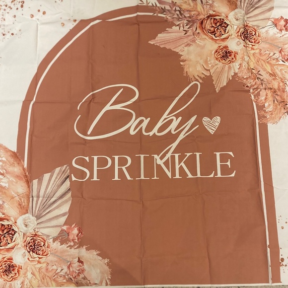 Baby sprinkle backdrop - Picture 2 of 2